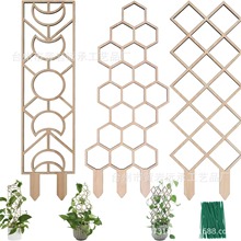 跨境木质植物攀爬架 创意蜂巢格子盆栽植物支架固定支撑杆