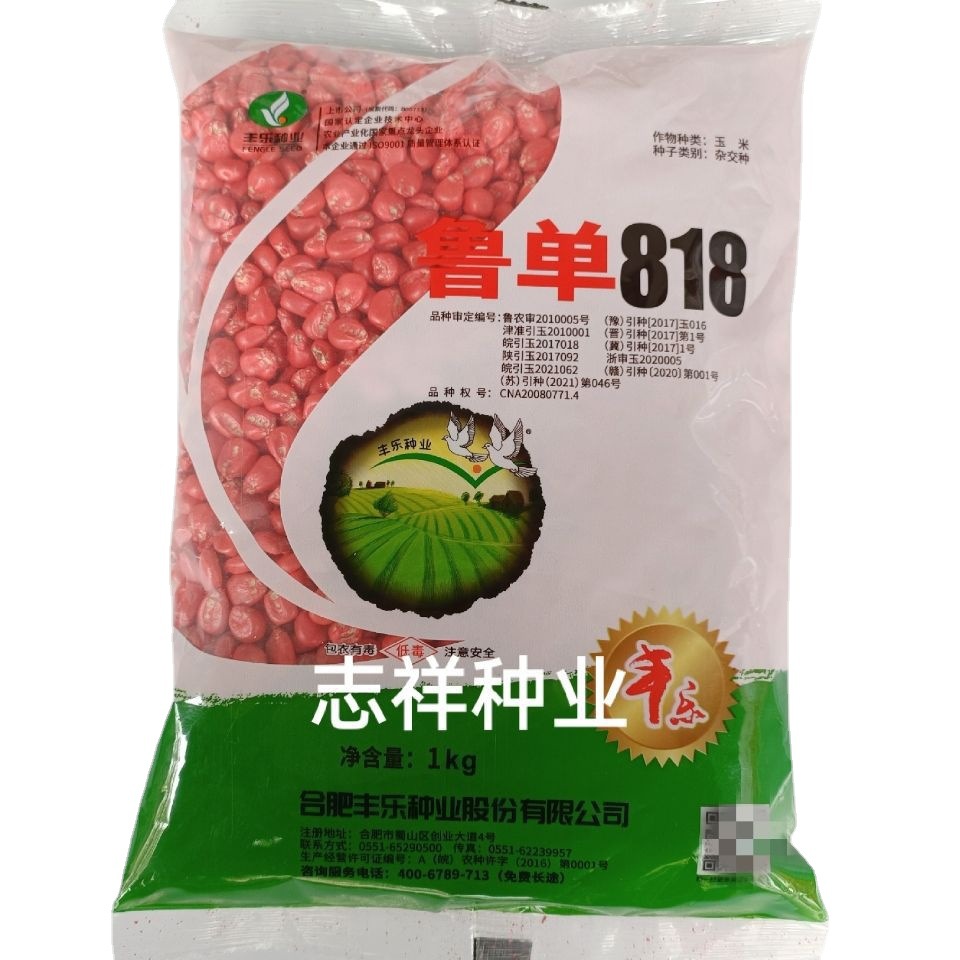 丰乐种业鲁单818玉米种子红轴半马齿黄粒大棒苞谷种春夏秋1公斤