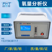 FN3001B氧分析仪　氧化锆分析仪  氧浓度检测仪