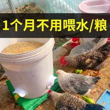 家禽喂食器小鸡饲料养鸡食槽鹌鹑鸽子自动喂食喂鸡自动下料器