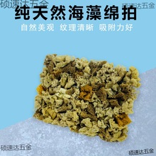 天然海藻绵拍三色珠光涂料印花点彩金银箔点拍涂刷艺术漆工具大全