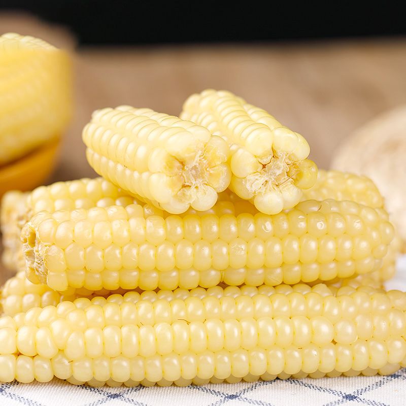 拇指玉米白糯云南西双版纳小玉米母指手指糯玉米迷你袖珍小苞谷