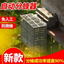 自动收蜂分蜂器隔王片养蜂工具过滤器土养蜜蜂防逃框笼