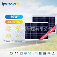 厂家直销多晶太阳能发电板光伏组件功率60W/18V多晶硅电池板