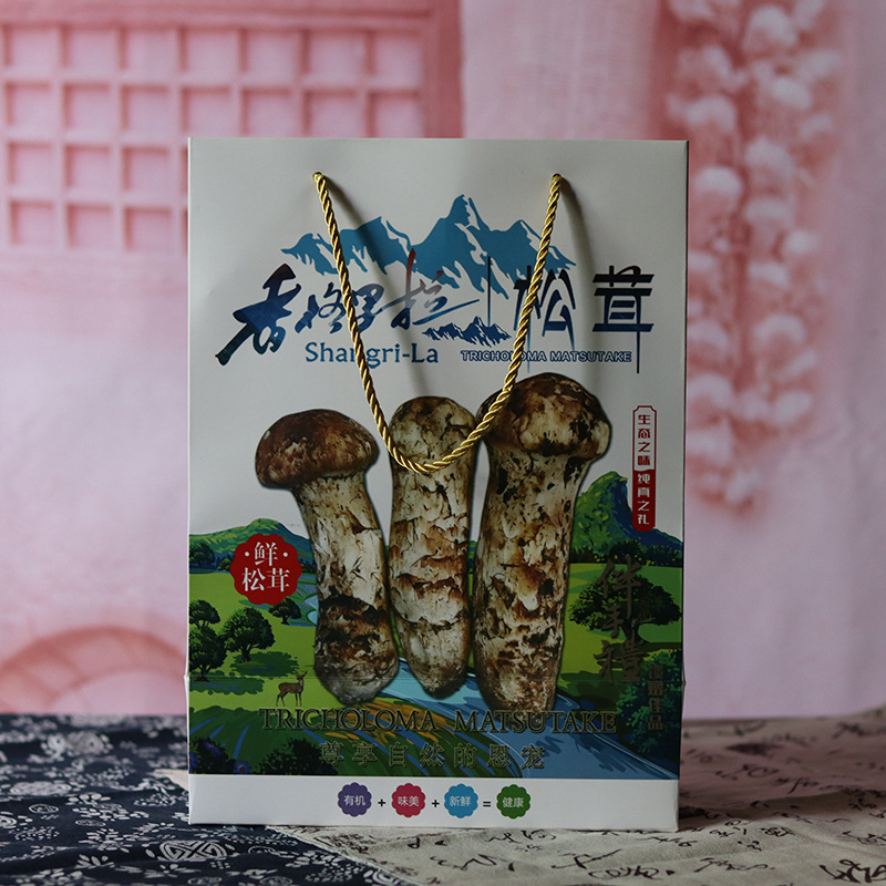 送礼包装空盒新鲜松茸野生菌云南特产菌菇干货春节年货礼盒手提袋