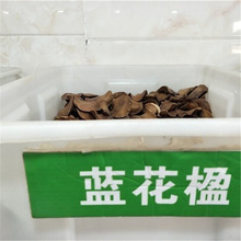 正宗蓝花楹种子 蓝雾树 含羞草叶蓝花楹 尖叶蓝花楹种子