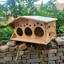 室外实木制鸽子窝鸽巢箱鹦鹉繁殖孵化箱配对木屋可