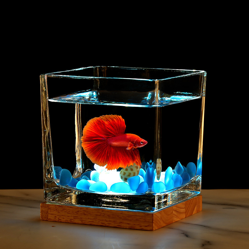 超白加厚方形玻璃鱼缸客厅办公桌面创意生态小型斗鱼缸夜灯迷你缸