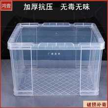 批发透明收纳箱 养鱼箱 鱼缸乌龟缸家用养殖箱塑料整理箱储物箱特
