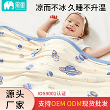 厂家现货批发儿童薄款冰丝毯夏季新生宝宝空调被幼儿园多用午睡毯