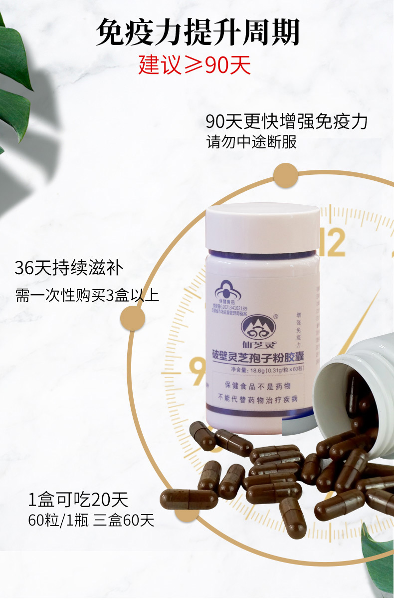 提高免疫力仙芝灵破壁灵芝孢子粉胶囊-保健品_保健食品_-国民康养
