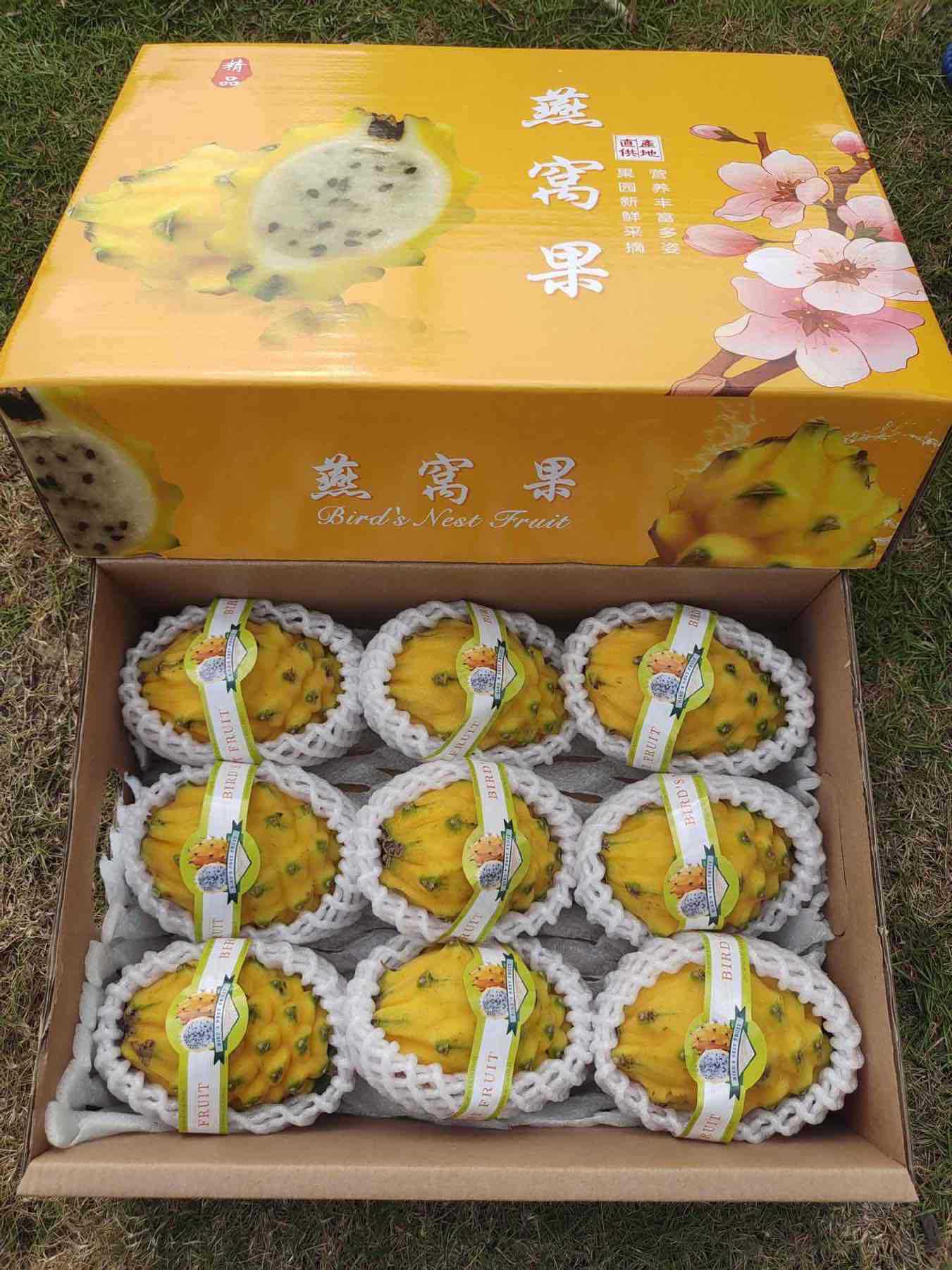 顺丰空运礼盒装海南麒麟燕窝果黄皮火龙果当季新鲜水果现摘现发非