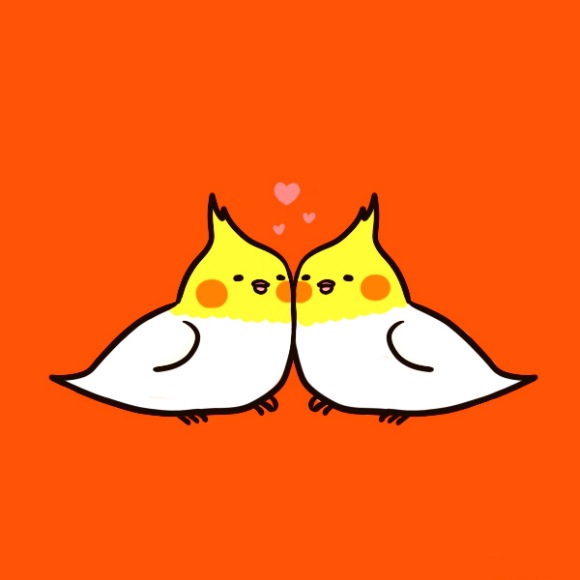 鹦鹉活体情侣牡丹合法桃脸牡丹鹦鹉活体鸟顺丰发货包活包健康