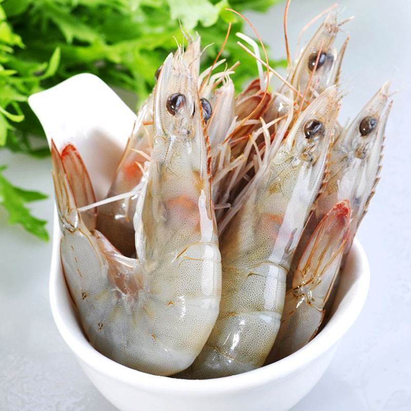 大连渤海对虾海虾大虾3040海鲜冷冻水产批发厄瓜多尔白虾青虾冷冻
