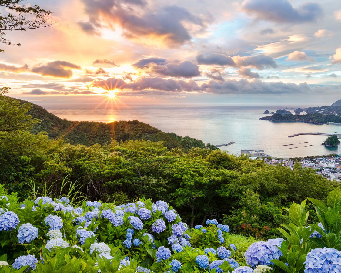 绣球花植物花朵海边风景印花十字绣