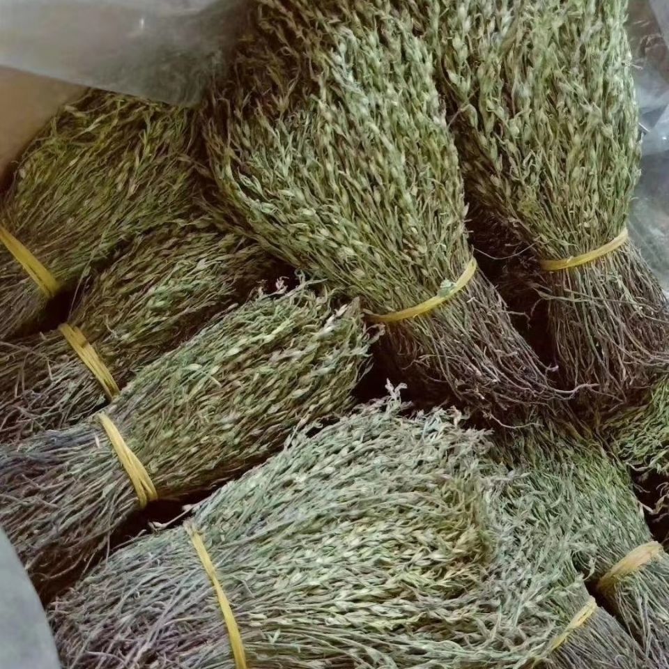 广西野生独脚金独脚柑 疳积草干货小儿消食不吃饭包邮