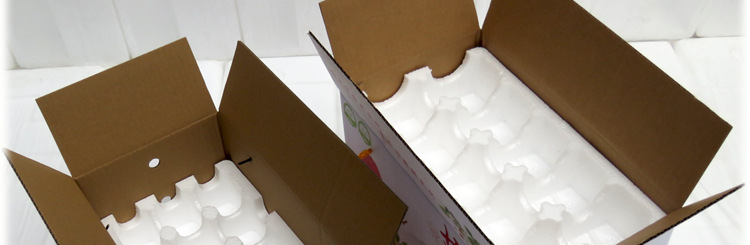 草莓快递专用泡沫包装箱 水果分格托盘 3斤打包盒5防摔分层礼品盒