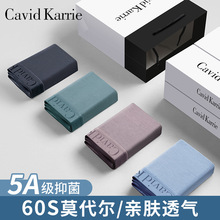 Cavid Karrie60支兰精莫代尔无痕男士内裤中腰透气抗菌中山代批发