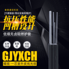 2芯室外室内自承式引入光缆单芯光纤蝶缆GJYXCH光缆G657A1