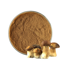 方格 鸡腿菇提取物 鸡腿菇多糖30% Coprinus comatus extract