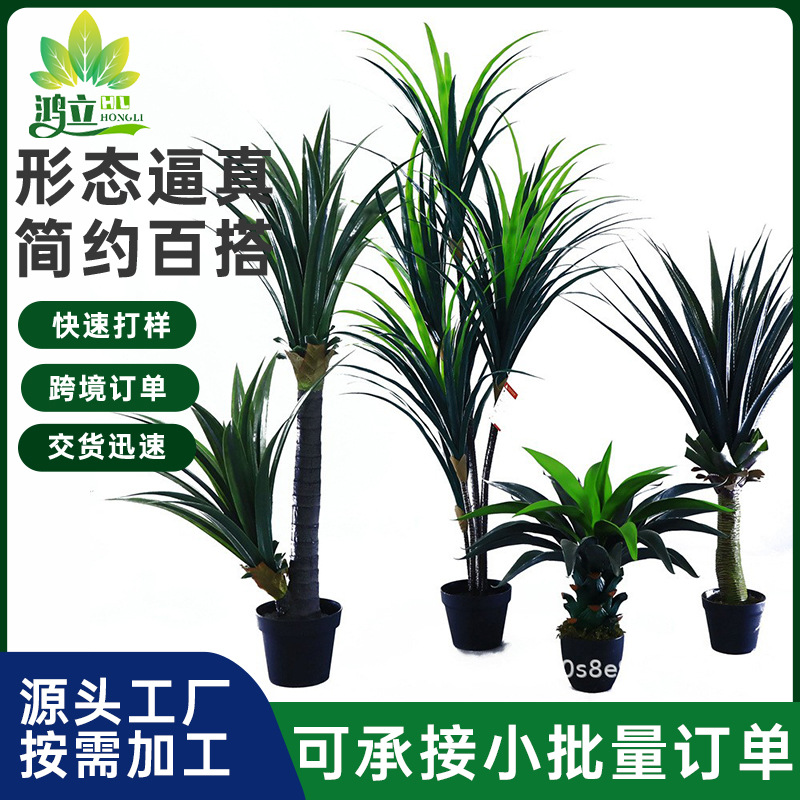 定制仿真龙血树盆栽人造假树白边草室内仿真植物客厅落地绿植盆栽