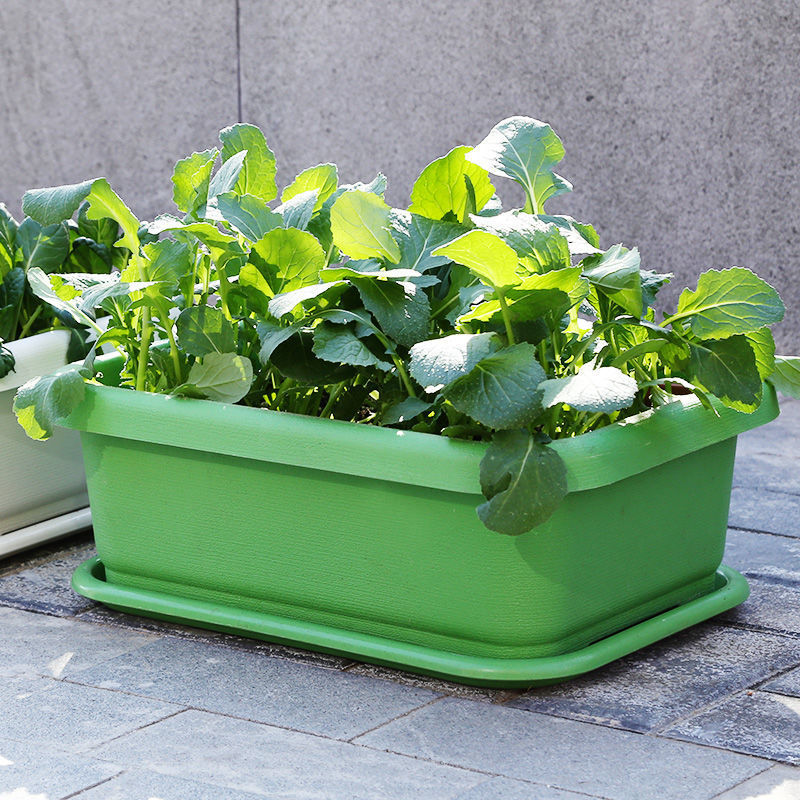 长方形种菜盆阳台家庭宽叶韭菜根盆栽蔬菜塑料花盆家用户外花箱槽