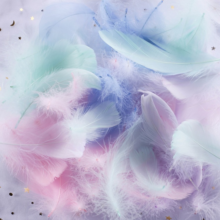 白色鹅毛彩色羽毛 ins美甲拍照道具化妆品摆拍摄背景摄影装饰摆件