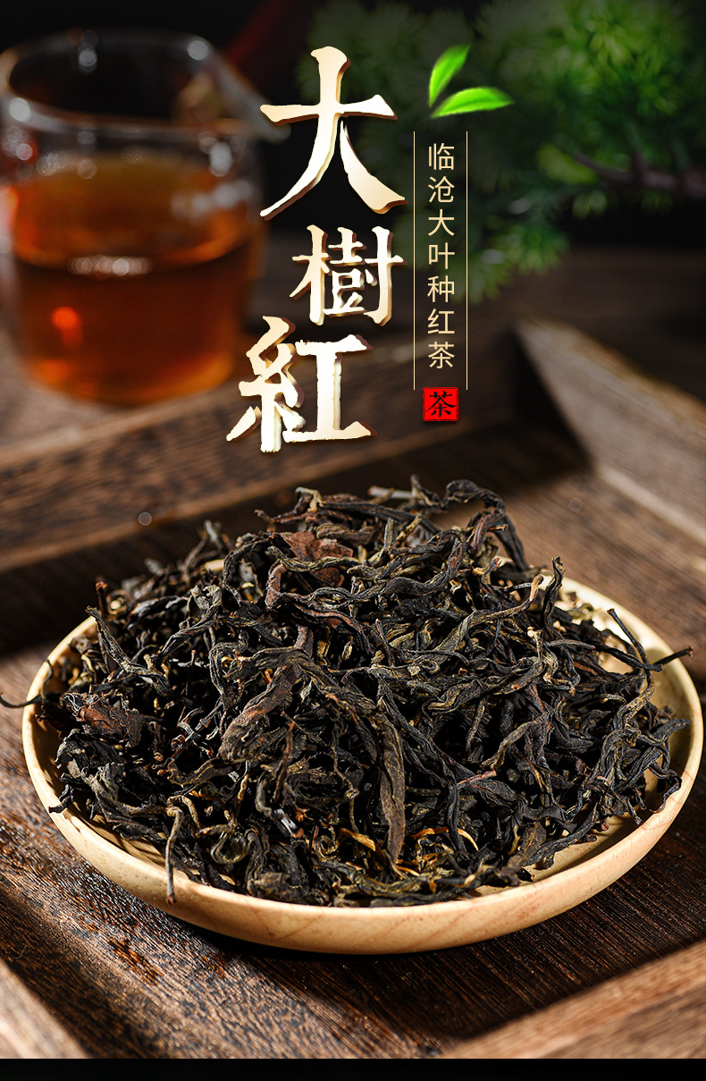 云南厂家批发老树红茶头春大树红茶滇红散装浓香型滇红茶加工定制