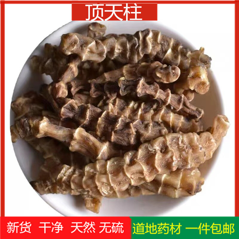 精选云南野生顶天柱中药材起阳草虫草参干续阳草 淫花果泡酒料 顶