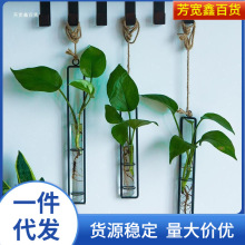 创意铁艺玻璃花瓶麻绳挂件客厅墙上壁挂水培绿萝植物容器悬挂壁饰