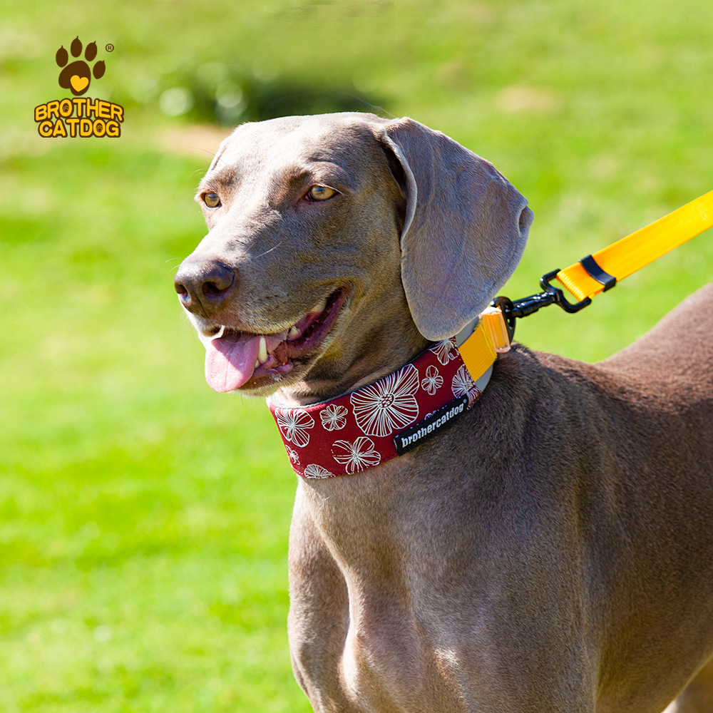 尼龙防咬狗项圈战术狗圈 猫狗驱虫脖圈 可调节狗狗牵引绳宠物项圈