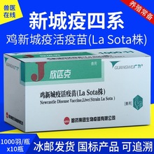 哈药欣匹克鸡新城疫活疫苗LaSota株4系活疫苗疫苗禽药一盒多盒价