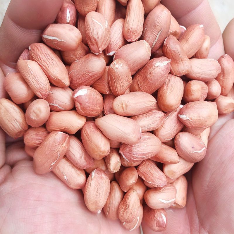 2022新产生花生米手工精选无壳大粒可油炸粉皮大白沙花生农家自产