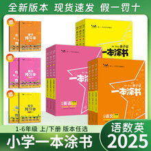 25版小学一本涂书语文数学英语一二三四五六年级下册人教青岛外研