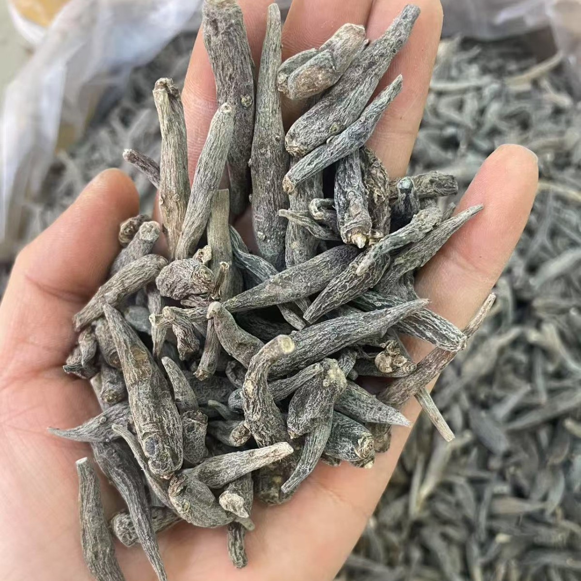 双参 双肾参 蓝月参新货云南药材双参对对参 子母参绿金风