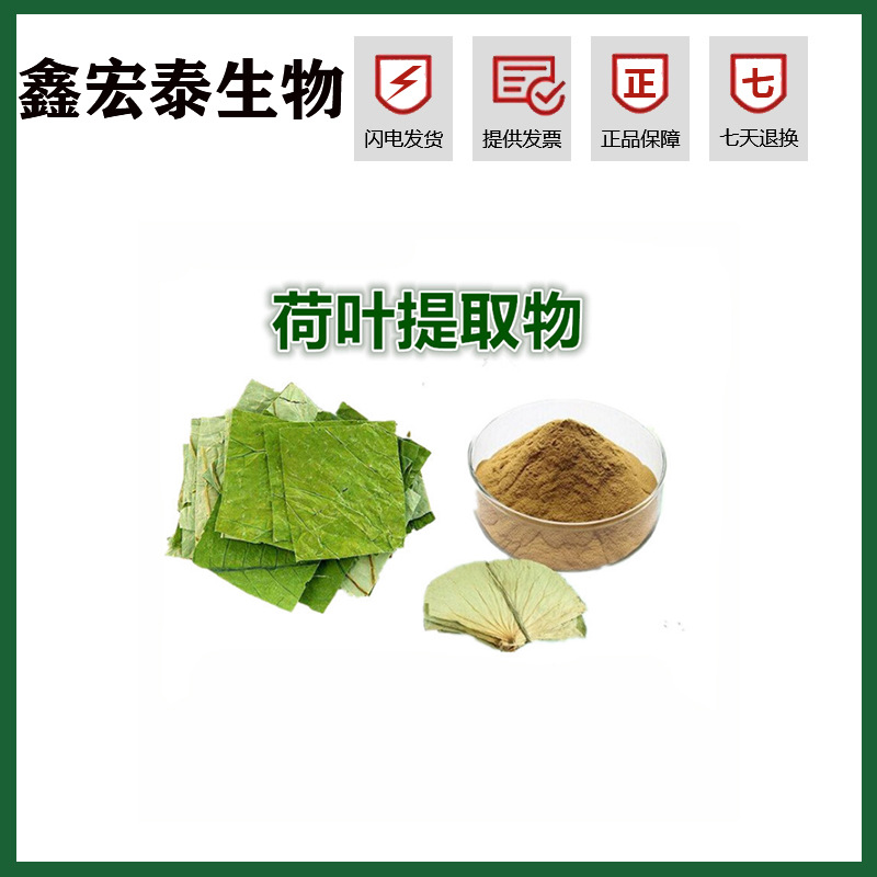 荷叶提取物10:1比例 荷叶碱 荷叶粉 荷叶提取物 现货供应量大价优-阿