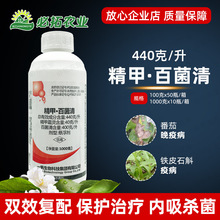 一帆生物440克/升精甲百菌清西红柿番茄晚疫病杀菌剂精甲霜灵农药