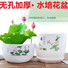 大号加厚荷花盆仿陶瓷树脂无孔睡莲水培植物碗莲盆铜钱草塑料花盆