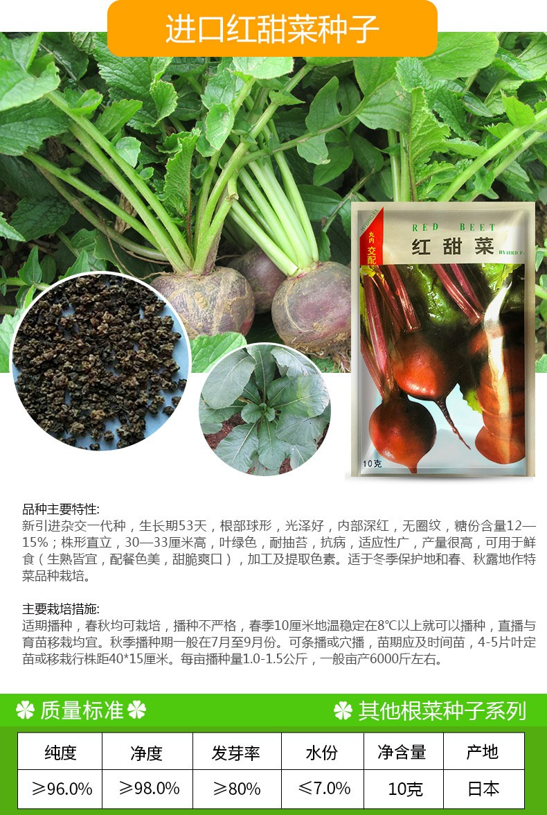 进口根用红甜菜种子10克品牌凤鸣雅世苗高100(cm)成活率85(%)含水量