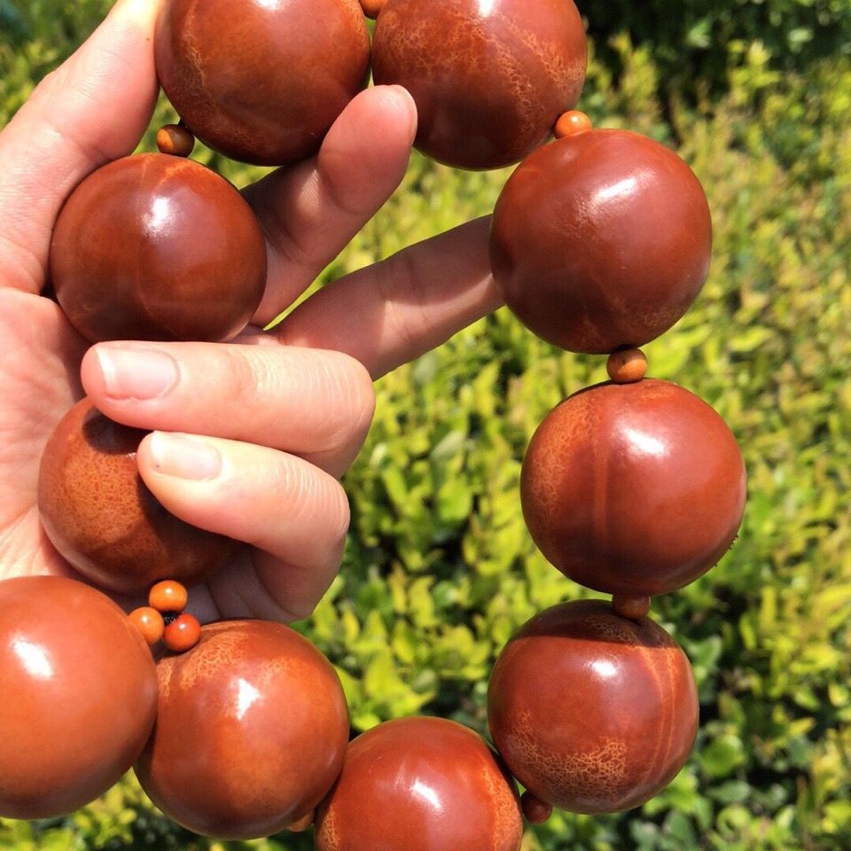 橄榄核手持核