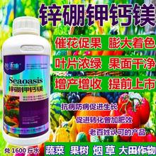 锌硼钾钙镁催花保果膨大着色剂蔬菜柑橘茶叶烟草果树氨基酸叶面肥