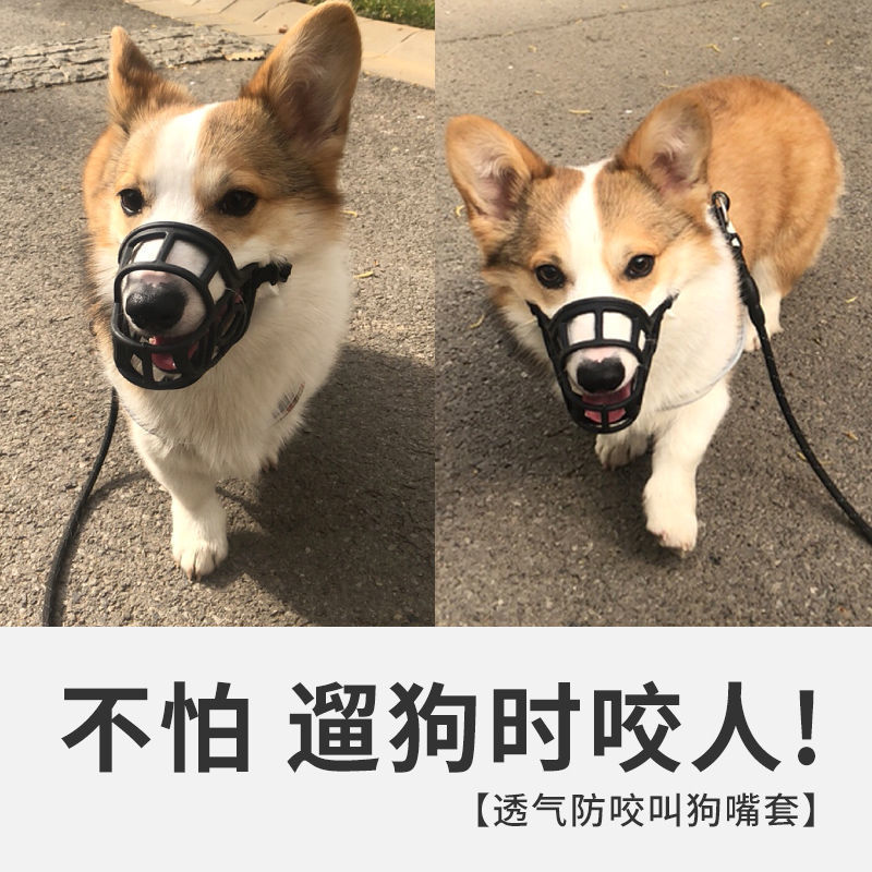嘴套狗狗防咬防叫防乱吃狗口罩止吠器中大型犬金毛狗宠物狗嘴罩热