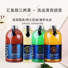 汇集丽三草两木乳木果洗发水山茶籽控油去屑滋润护发素官方正品