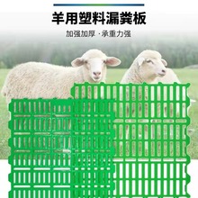 羊用漏粪板羊床塑料板羊圏羊场树脂漏粪板羊漏粪网板养羊设备厂家