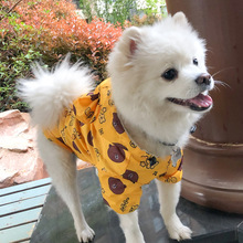 批发狗狗新款雨衣中大型犬金毛宠物大狗雨衣泰迪法斗中小型犬雨披