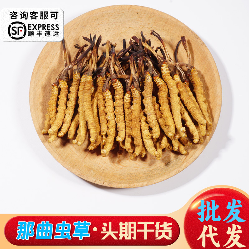 冬虫夏草西藏虫草批发高海拔那曲虫草干货青海玉树冬虫夏草干虫草
