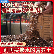 泥炭营养土养花专用通用型椰砖土壤多肉土花卉种植土种球有机花泥