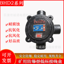 矿用防爆型低压接线盒BHD2-40A-3T BHD2-40/660/2T电压电缆接线