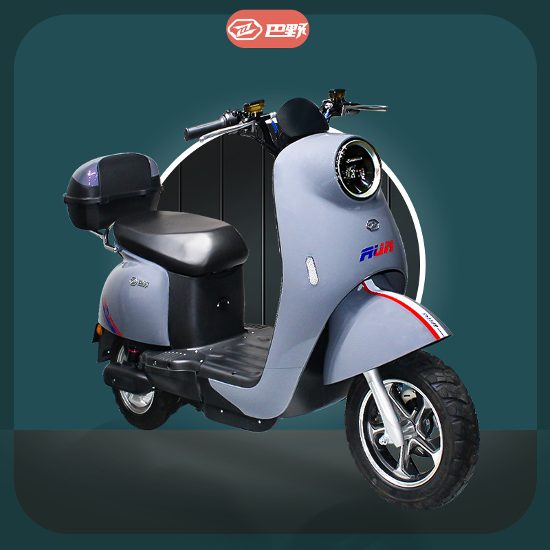 巴野新国标金龟王电动自行车48v15ah双人座上牌锂电池代步电瓶车