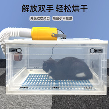 猫咪烘干箱宠物烘干机家用猫咪吹毛笼猫咪狗狗洗澡静音吹风烘干箱